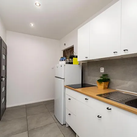 Stylish Modern With Winter Terrace Apartment Ostrava