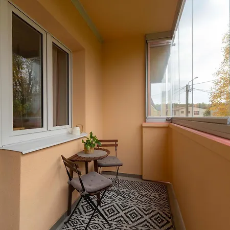 Stylish Modern With Winter Terrace
